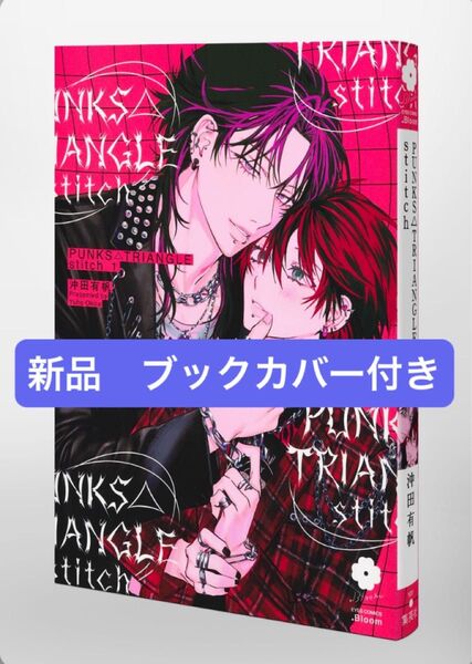2冊 新刊 punks△triangle stitch 沖田有帆 美しい彼 5 凪良ゆう 北野仁