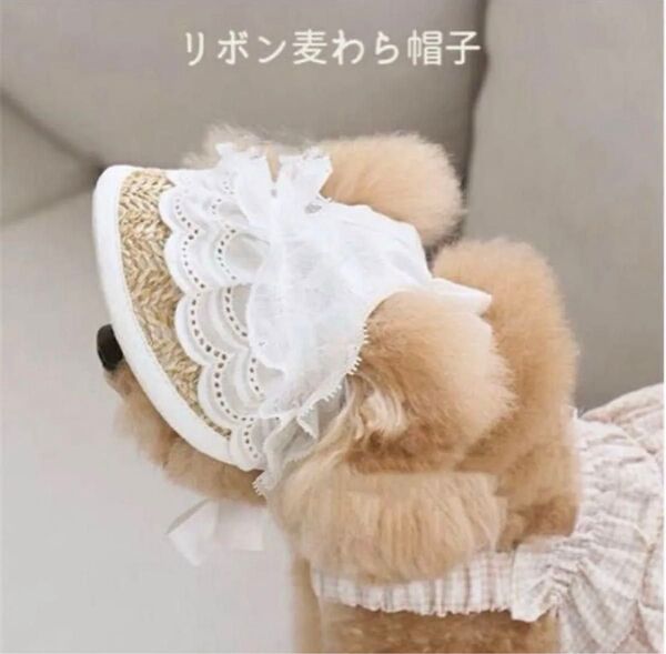 【新品】ペット麦わら帽子 リボンレース 可愛い帽子 ホワイトレース お散歩 お出掛け ペットサンバイザー お洒落アイテム♪