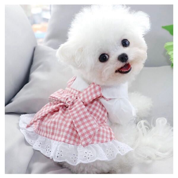 【新品】ペット服 春夏秋 エプロンドレス 可愛い大きなリボン 袖フリル 裾レース ワンピース ギンガムチェック