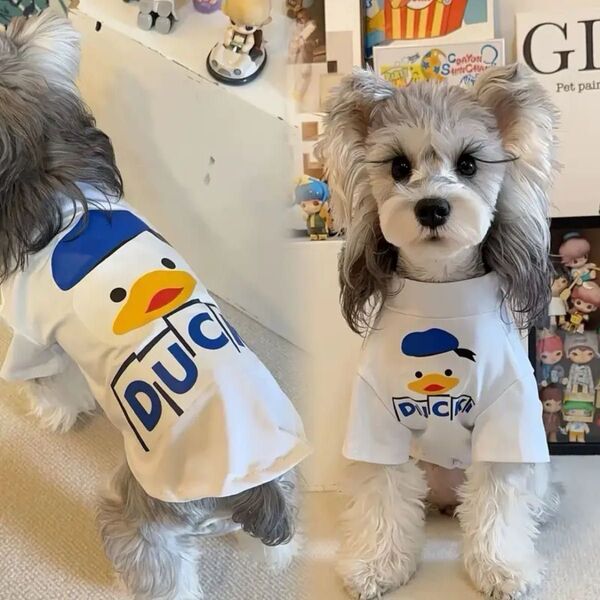 【新品】ペット服 夏ペットTシャツ 可愛いダックデザイン 小型犬 通気性◎ 涼しく快適 ペットシャツ