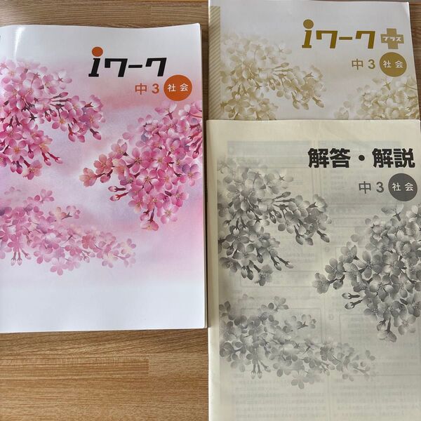【中学3年】社会 中3社会 iワーク iワークプラス 解答・解説 3冊セット