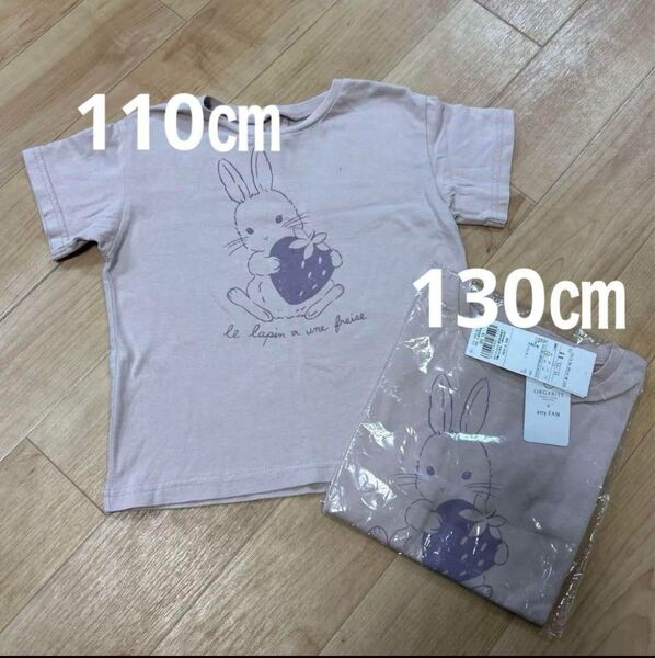 エニィファム オーガビッツ アニマルTシャツ 110㎝と130㎝ セット 2枚 まとめ売り うさぎ いちご
