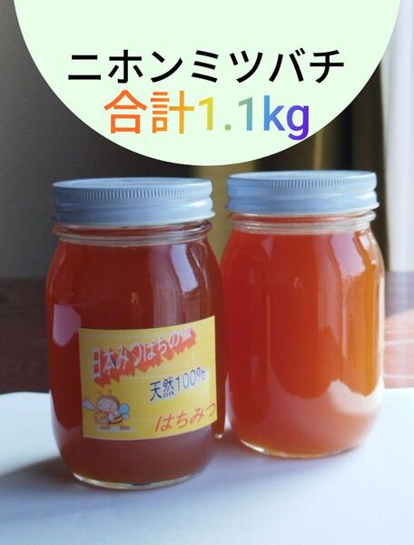 国産はちみつ、ニホンミツバチ、合計1.1kg