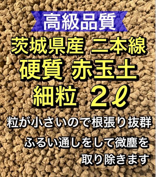 高級茨城県産 二本線 硬質赤玉土 ●細粒・微粒● 2リットル 多肉植物 観葉植物