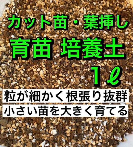 カット苗・葉挿し・育苗 種まき 培養土 1リットル 多肉植物 観葉植物