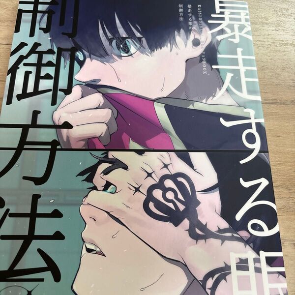 ブルーロック同人誌 カイザー×潔世一 カイ潔 暴走する眼の制御方法◆温度◆ぬるぬる