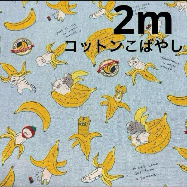 ★ラスト2枚★綿麻★バナナ猫★くすみ水色★