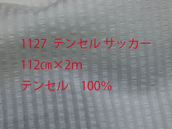 1127 テンセル 100% サッカー サイズ 112cm巾 長さ2m カラー オフ
