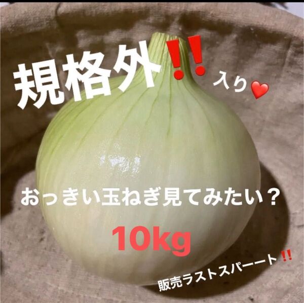 ☆淡路島玉ねぎ☆新たま☆規格外☆10kg☆