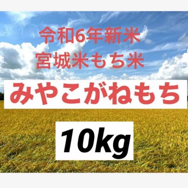 みやこがねもち 精米10kg 令和6年産