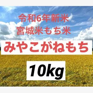 みやこがねもち 精米10kg 令和6年産 ラストです