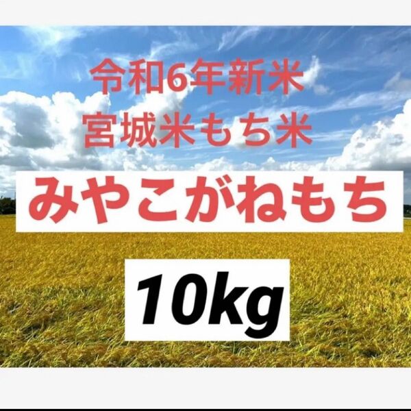 みやこがねもち 玄米 10kg 令和6年産