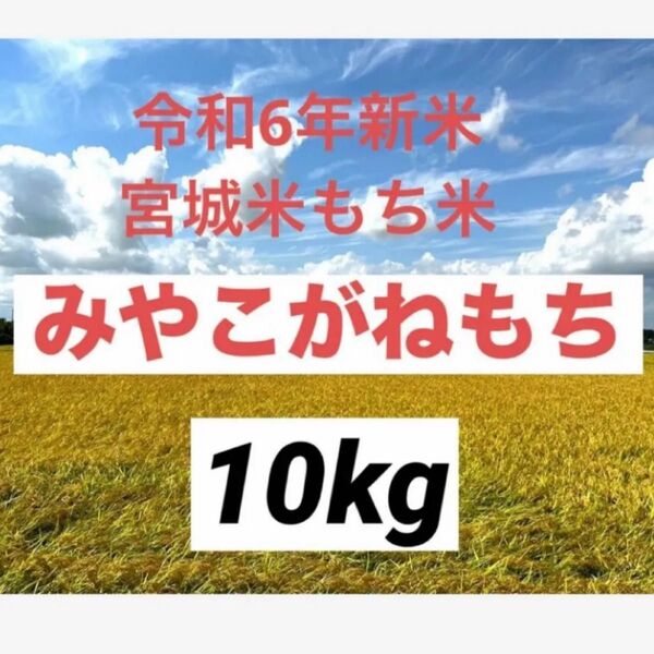 みやこがねもち 玄米10kg 令和6年産