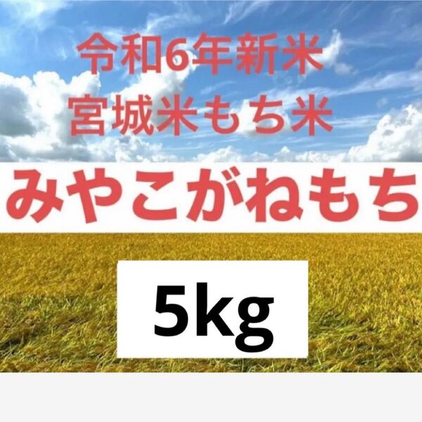 みやこがねもち 玄米5kg 令和6年