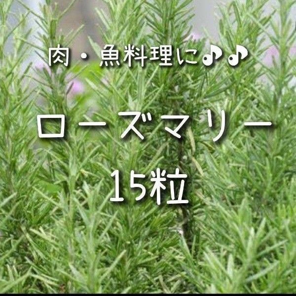 【ローズマリーのタネ】15粒 種子 種 ハーブ 家庭菜園