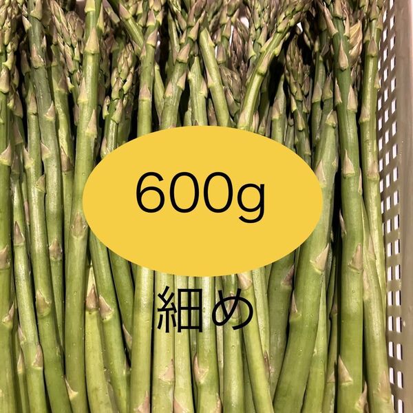 アスパラ 600g 細め アスパラガス B品