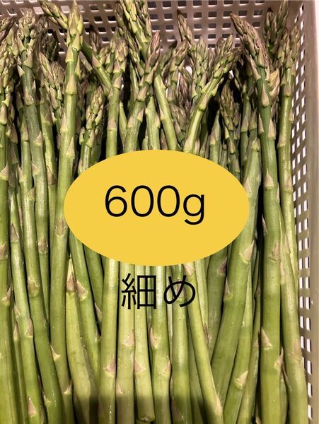 アスパラ 600g 細