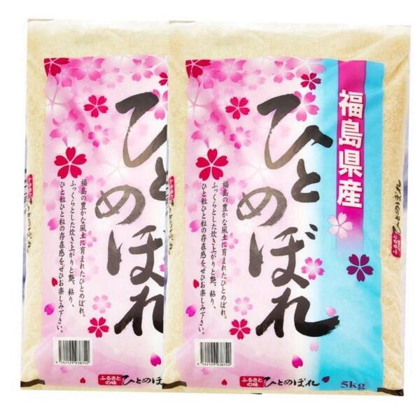 白米 福島県産 ひとめぼれ 10kg 5kg×2 農家直送 ブランド米 令和6年産 精米時期6月4日