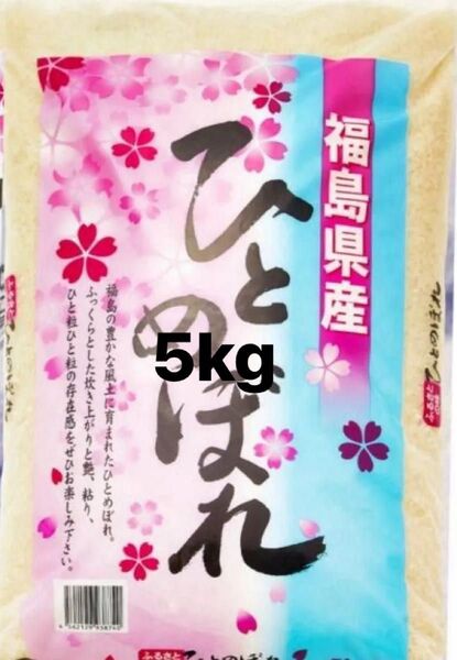 白米 福島県産 ひとめぼれ 5kg 農家直送 ブランド米 令和6年産 精米時期6月4日