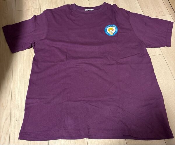 ZARA メンズ 半袖Tシャツ XL