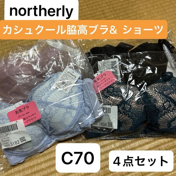 northerly ノーザリー カシュクール脇高ブラ ショーツ C70 4点セット ブルー、モーヴピンク、ラベンダー、ブラック