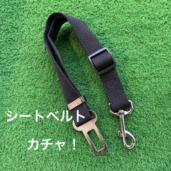 シートベルト 犬猫ペット、荷物の固定にも