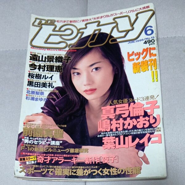 Dr.ピカソ 1996年6月号 桜木ルイ 黒田美礼 葉山レイコ他