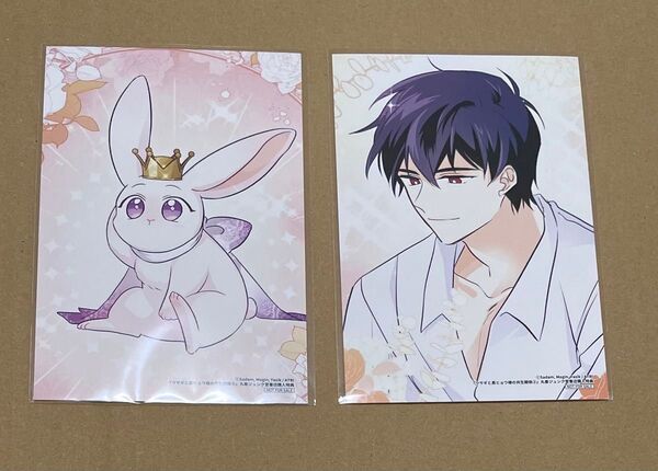 【特典のみ】ウサギと黒ヒョウ様の共生関係 2巻3巻 丸善ジュンク堂特典 イラストカード