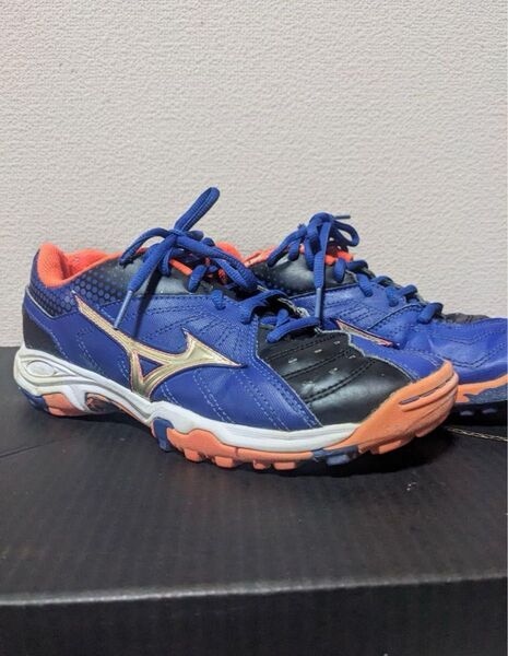 Mizuno Wave Gaia ハンドボールシューズ 24.0センチ