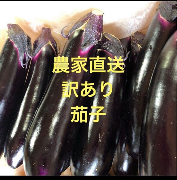 朝どり 農家直送!長茄子 訳あり 箱込み5kg