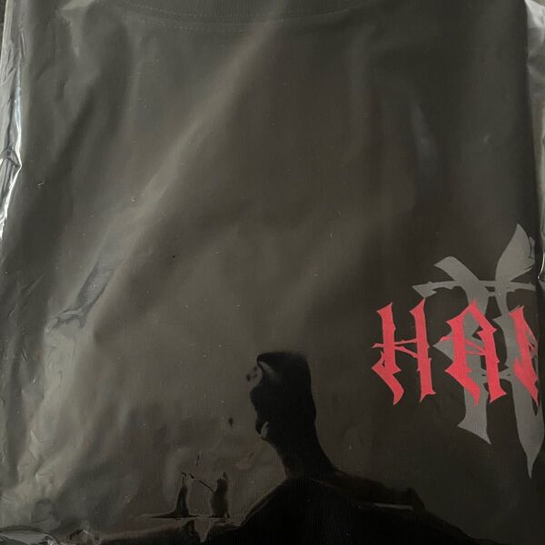 新品 HANA ロゴTシャツ サイズM 公式グッズ