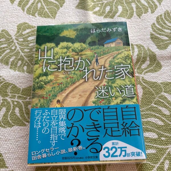 山に抱かれた家迷い道 (小学館文庫 は3-7) はらだみずき/著