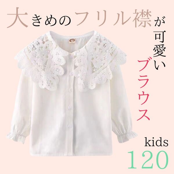 キッズ ブラウス 女の子 フォーマルブラウス 長袖 白 レース 120cm 子供 服 卒園式 入学式 小学生 ホワイト 子ども