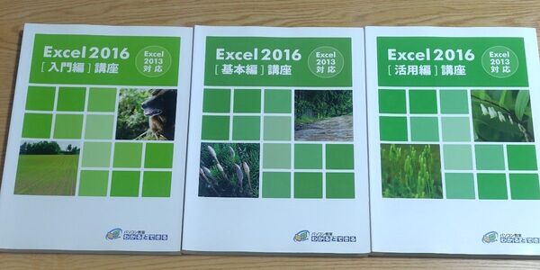 Excel2016 入門編・基本編・活用編 3冊セット Excel2013対応 FOM出版