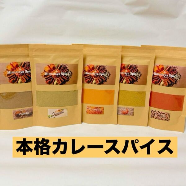 スパイス5種 本格カレー スパイスカレー