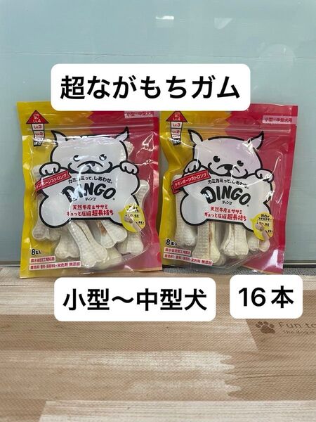 DINGO ディンゴ チキンボーン ストロング M 16本 超長もち ガム チキン 歯みがき 牛皮