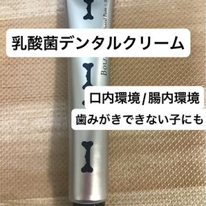 バウデント デンタルクリーム 乳酸菌配合 口臭 歯垢 歯石 おなか 歯みがきできない子にも デンタルケア オーラルケア