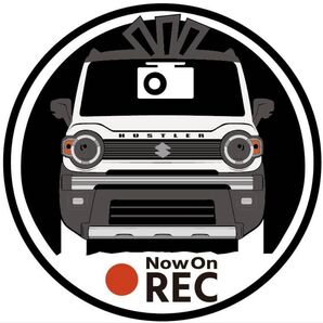 愛車色に変更承ります タフワイルド ハスラー ドライブレコーダー ドラレコ ステッカー プリント