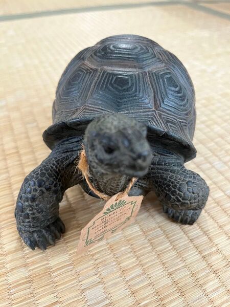 PET BANK TORTOISE リクガメ 貯金箱 陶器