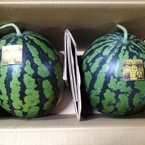 熊本産金色ラオ〜秀品2玉入り、高級すいか格安販売合計16k〜17k