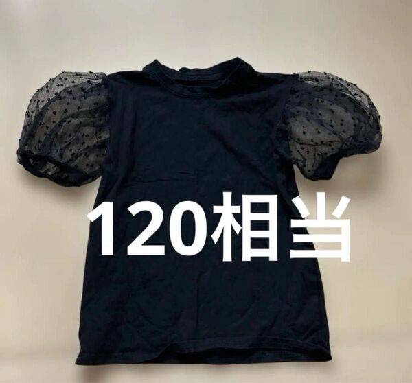 パフスリーブ チュールTシャツ ドット 120相当 Tシャツ 半袖 半袖Tシャツ ブラック 黒