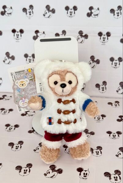 ディズニー ウィンターホリデー ダッフィー ぬいぐるみバッジ 2019