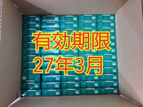 チェキフィルム instax mini jp1 10枚×60箱=600枚 新品未開封 元箱発送 有効期限27年3月