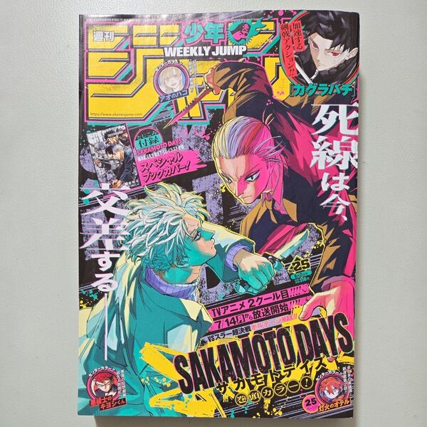 週刊少年ジャンプ 2025年6月2日号 (集英社)
