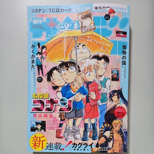 週刊少年サンデー 2025年6月11日号 (小学館)