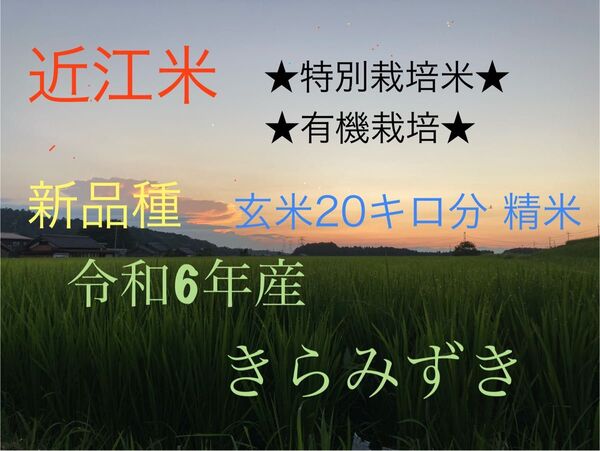 btz様 専用 ★新品種 ☆特別栽培 ☆有機肥料栽培 きらみずき 減農薬栽培-90%以上減 精米発送 玄米20キロ分 遠赤外線乾燥