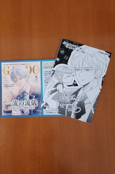仕事人間な伯爵令嬢は氷の宰相様の愛を見誤っている1 TSUTAYA特典 イラストカード