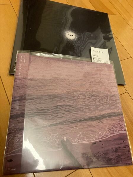 カネコアヤノ 石の花 さびしくない レコード 新品アナログ盤 踊ってばかりの国 Kaneko Ayano
