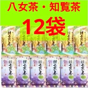 八女茶特上煎茶 知覧産特上煎茶 12袋 セット 国産 特上煎茶 お茶 緑茶 八女茶 知覧茶 お茶葉 お茶まとめ売り