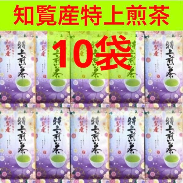 知覧茶 知覧産特上煎茶 10袋セット 特上煎茶 知覧茶特上煎茶 お茶 緑茶 お茶葉 お茶まとめ売り お得 銘茶 日本茶 煎茶